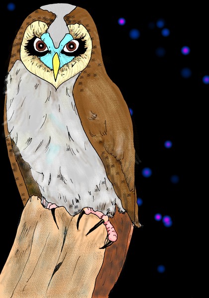 owl