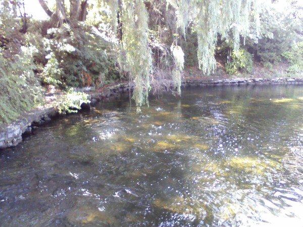 Boardman River