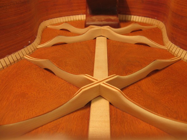 Alien or Guitar Back