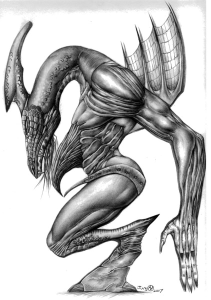 COMMANDER DRAGON