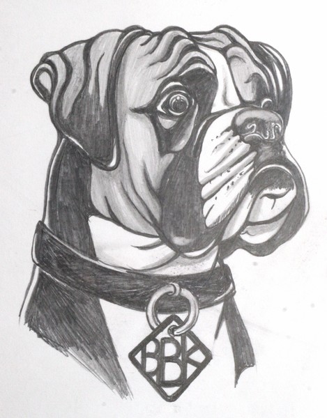 Boxer