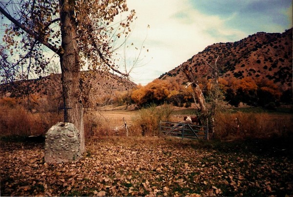 The Foot Hills of the Sangre De Christo Mountains 