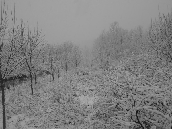 DSC00325