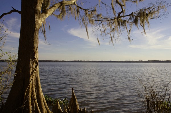 Newnan