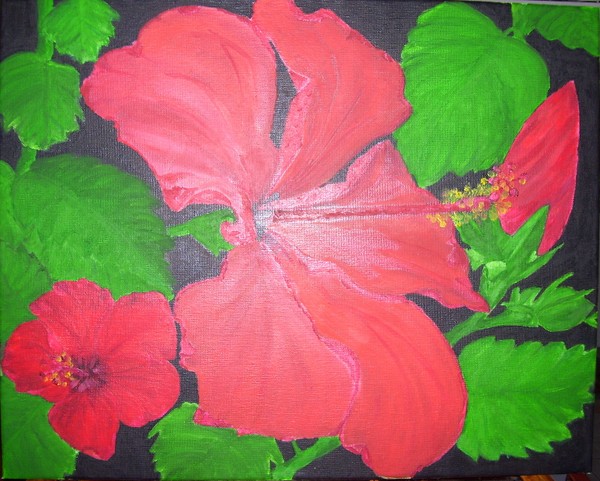 Hibiscus Flower