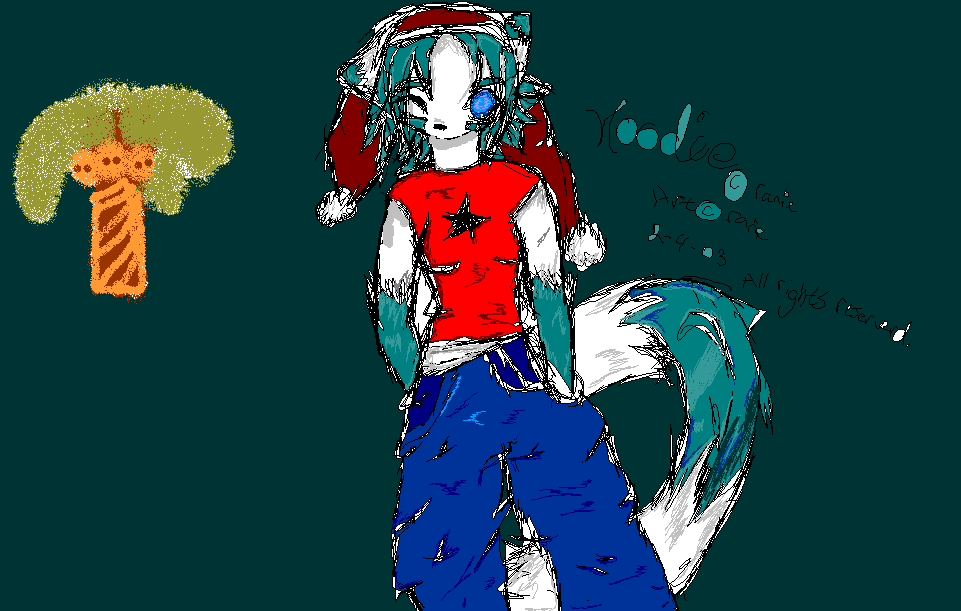 hoodie