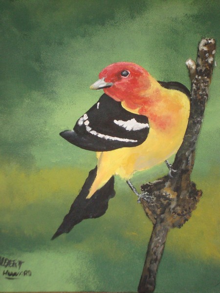 tanager