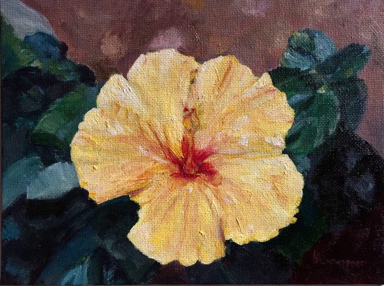 Yellow Hibiscus