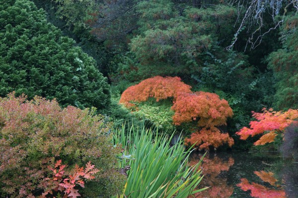 Kubota Garden #2