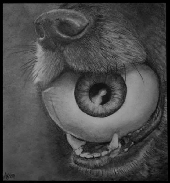 Dog and Eye Ball