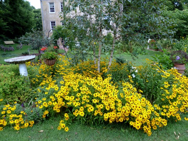 Backyard Gardens