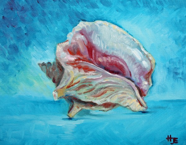 Conch shell study with blue