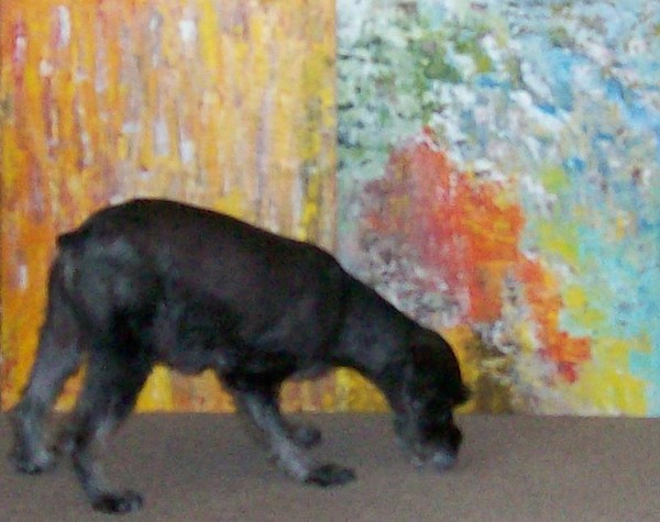 abstract 11