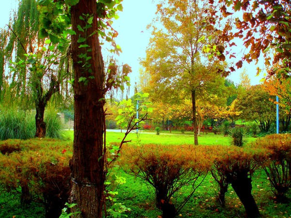 sögütlüçesme park
