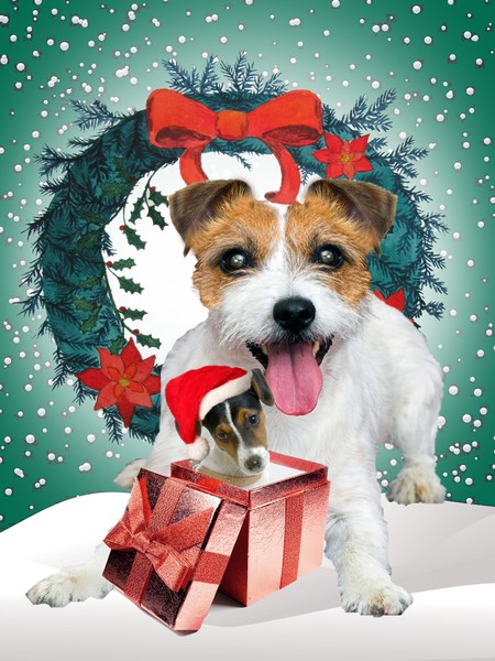 Jack Russell Christmas Gift