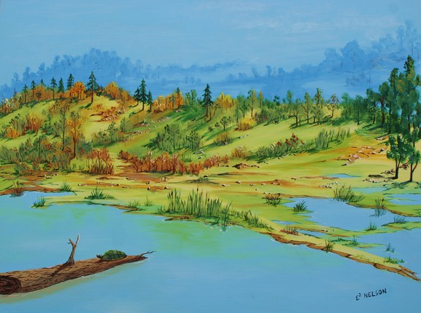 TURTLE ON POND
