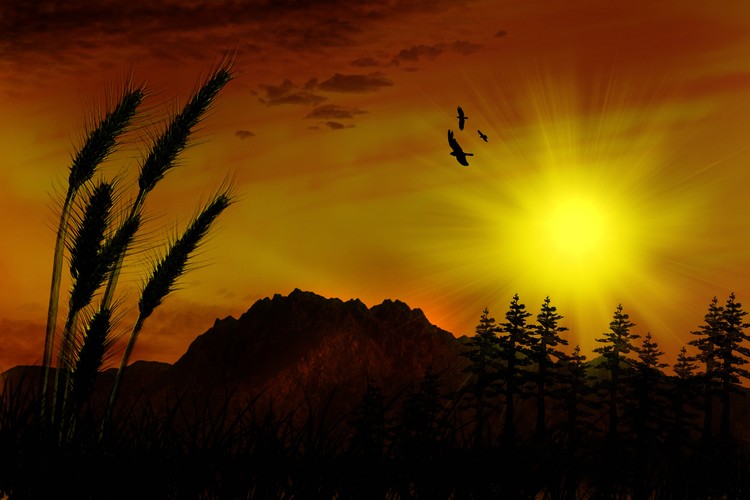 Golden Skies