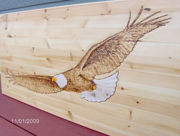 soaring eagle