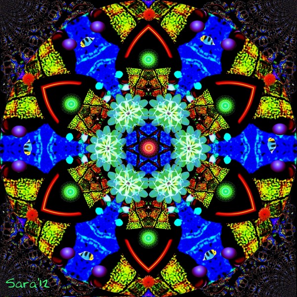 Evolving Mandala