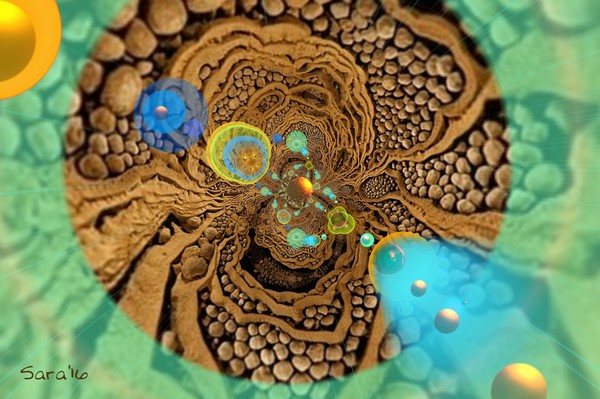 Expansion
