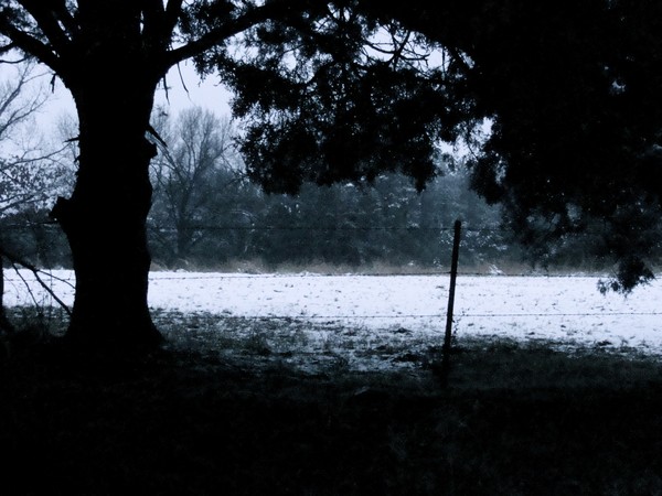  dusk 'round here
