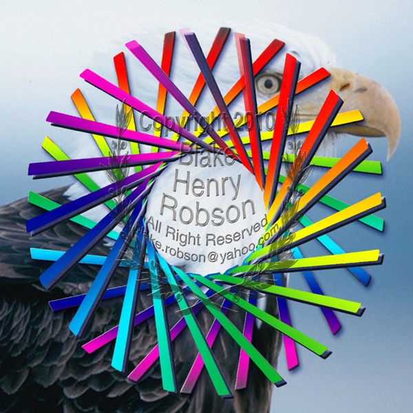 Circle of color sticks eagle digital art