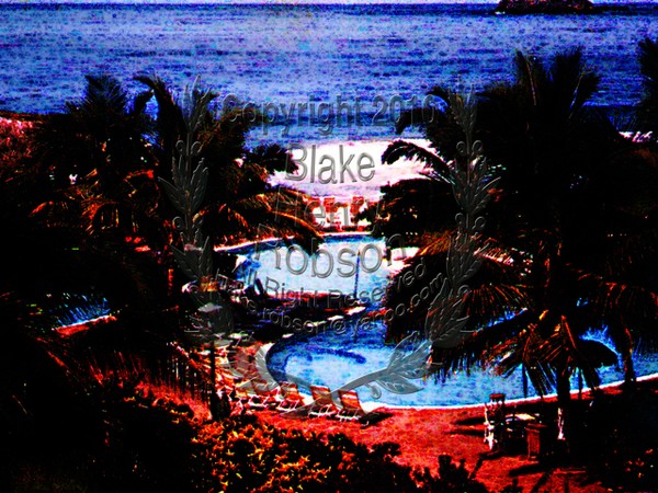 Pool Side Palms & Tropical Coastline
