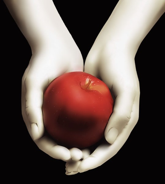 Twilight Cover
