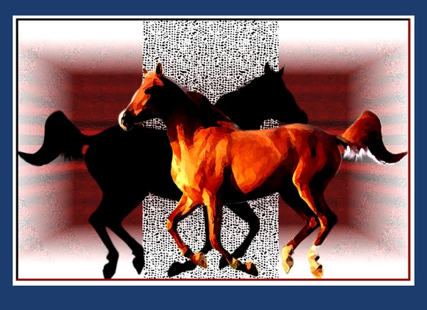 Stallions copy