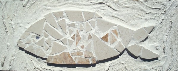 Whitefish