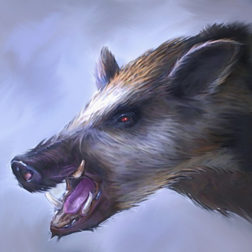 Wild Boar
