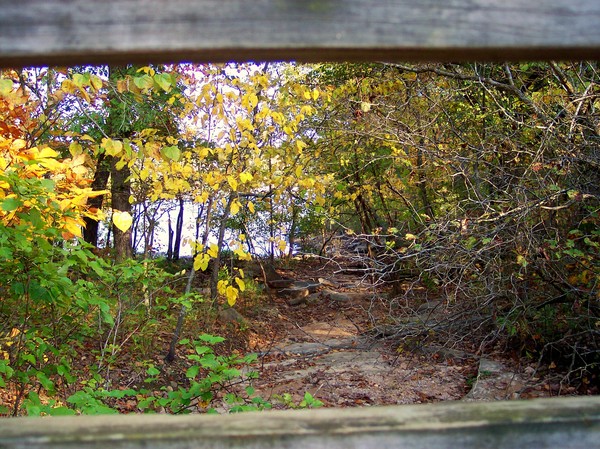 The Path