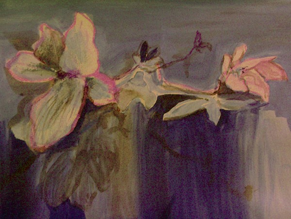 magnolias