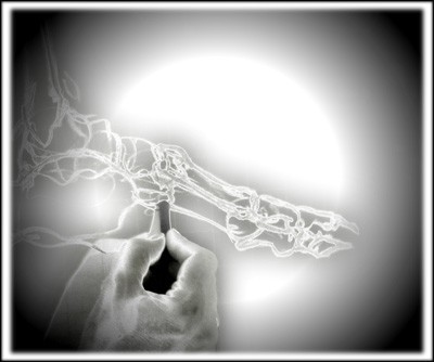 anatomie01
