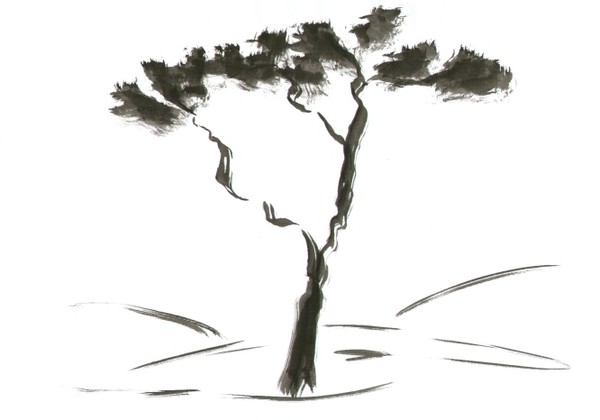Japanese Garden 14