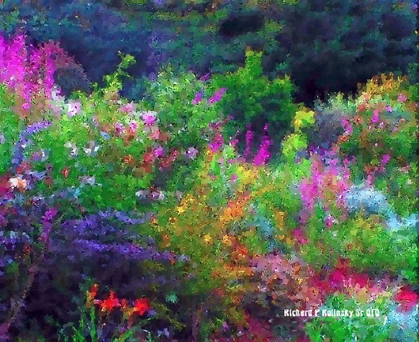 garden in haddon hts