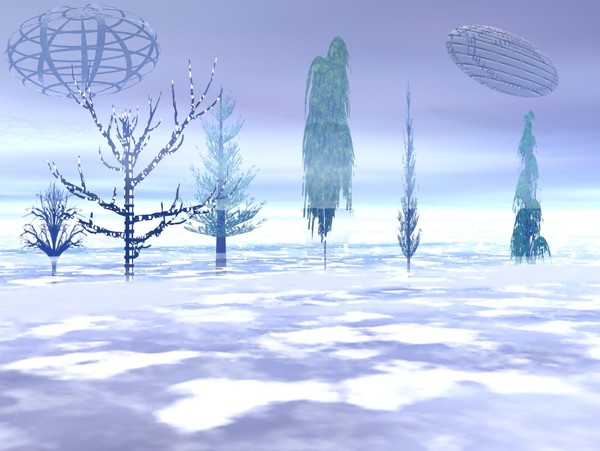 fogforest