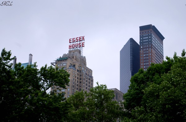 The View From Central Park