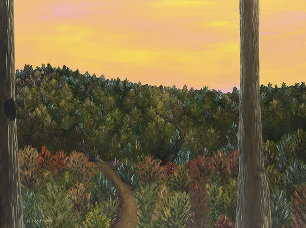 The Hike