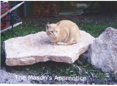 The Mason's Apprentice