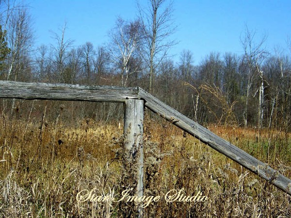 OLD FENCE, WITH WEEDS