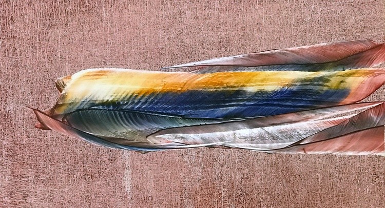 Left Wing 2G