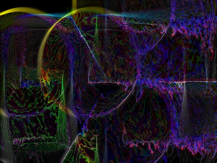 Under the Veil of Night