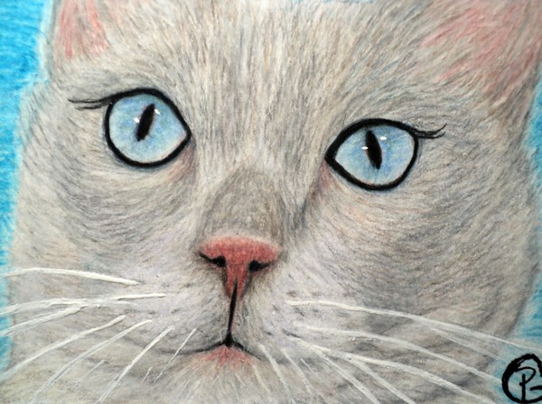 Siamese