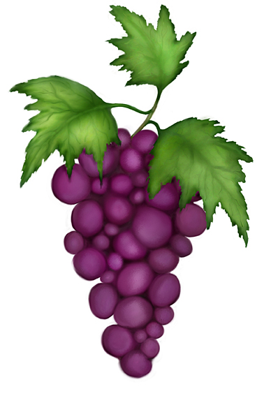 Grapes
