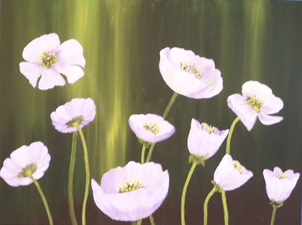 Morning Flowers