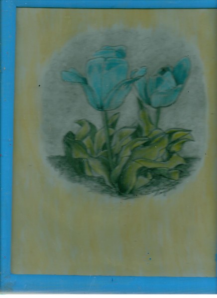 Blue tulips in the blue