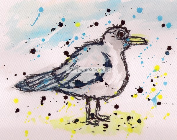 seagull