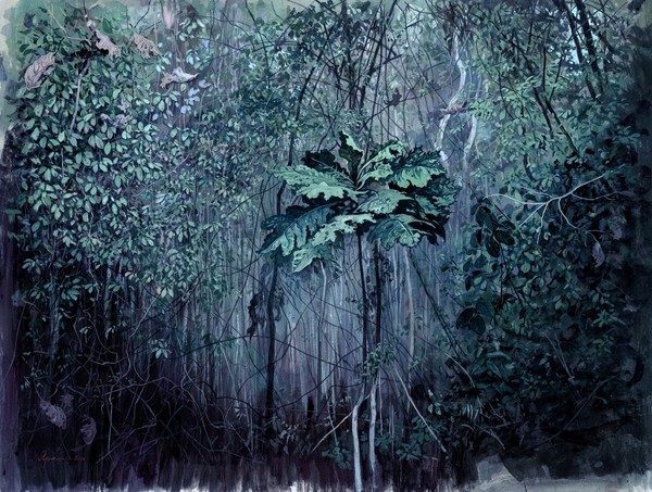 Cipoal