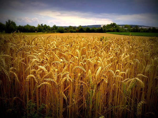 Country Side Germany